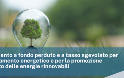 Finanziamento a fondo perduto e a tasso agevolato per l’efficientamento energetico e per la promozione dell’utilizzo delle energie rinnovabili