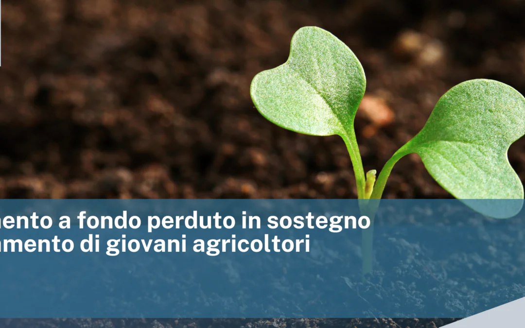 Finanziamento a fondo perduto in sostegno all’insediamento di giovani agricoltori
