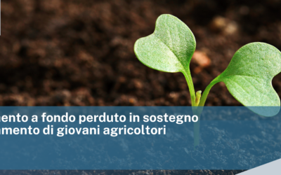 Finanziamento a fondo perduto in sostegno all’insediamento di giovani agricoltori