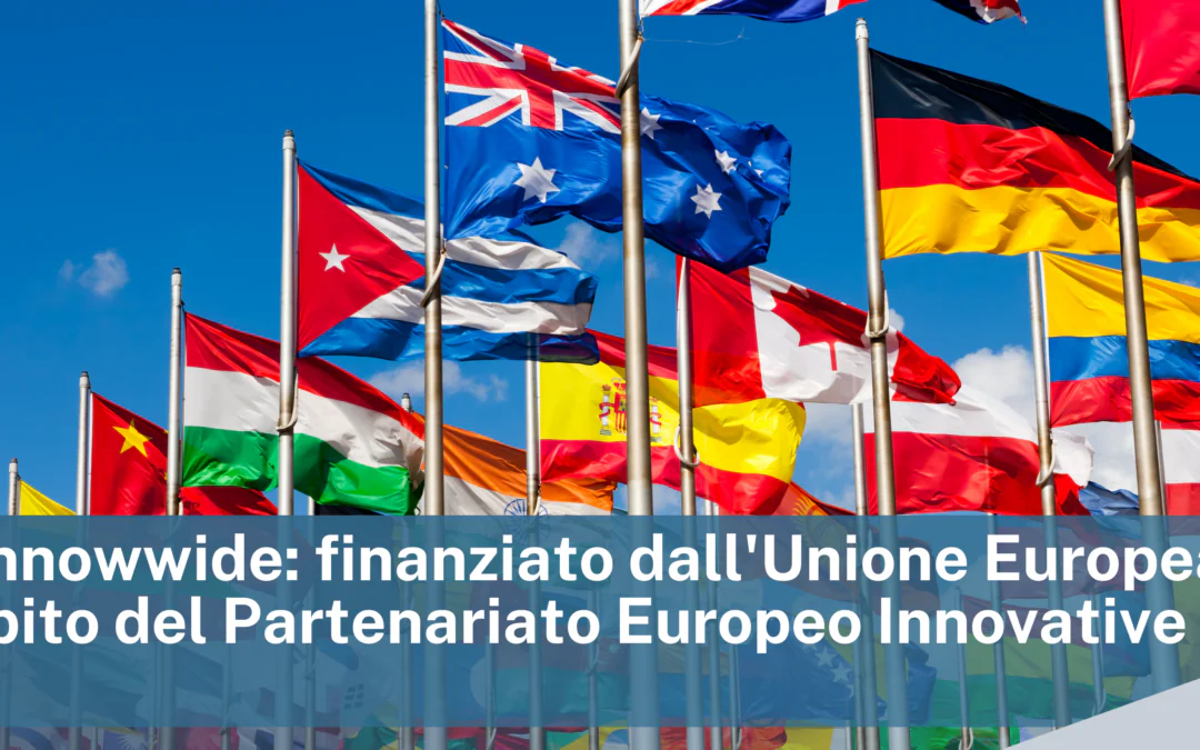 Bando Innowwide: finanziato dall’Unione Europea nell’ambito del Partenariato Europeo Innovative