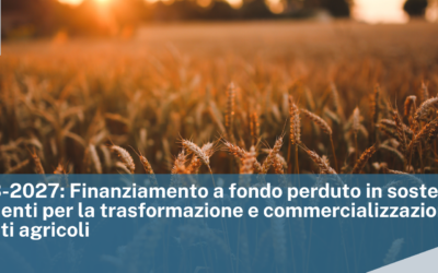 CSR 2023-2027: Finanziamento a fondo perduto in sostegno a investimenti per la trasformazione e commercializzazione dei prodotti agricoli