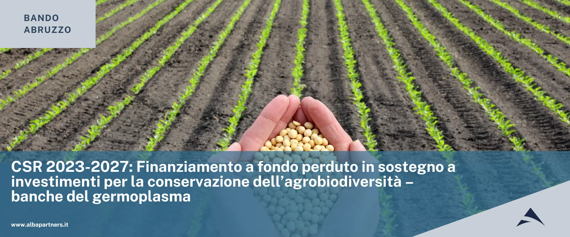 Regione Abruzzo: CSR 2023-2027: Finanziamento a fondo perduto in sostegno a investimenti per la conservazione dell’agrobiodiversità – banche del germoplasma