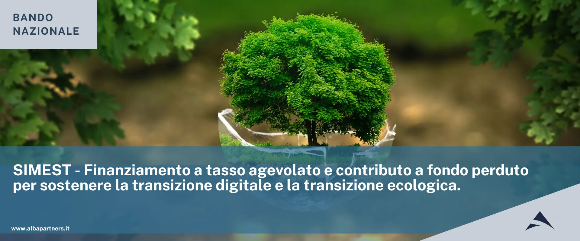 SIMEST – Finanziamento a tasso agevolato e contributo a fondo perduto per sostenere la transizione digitale e la transizione ecologica