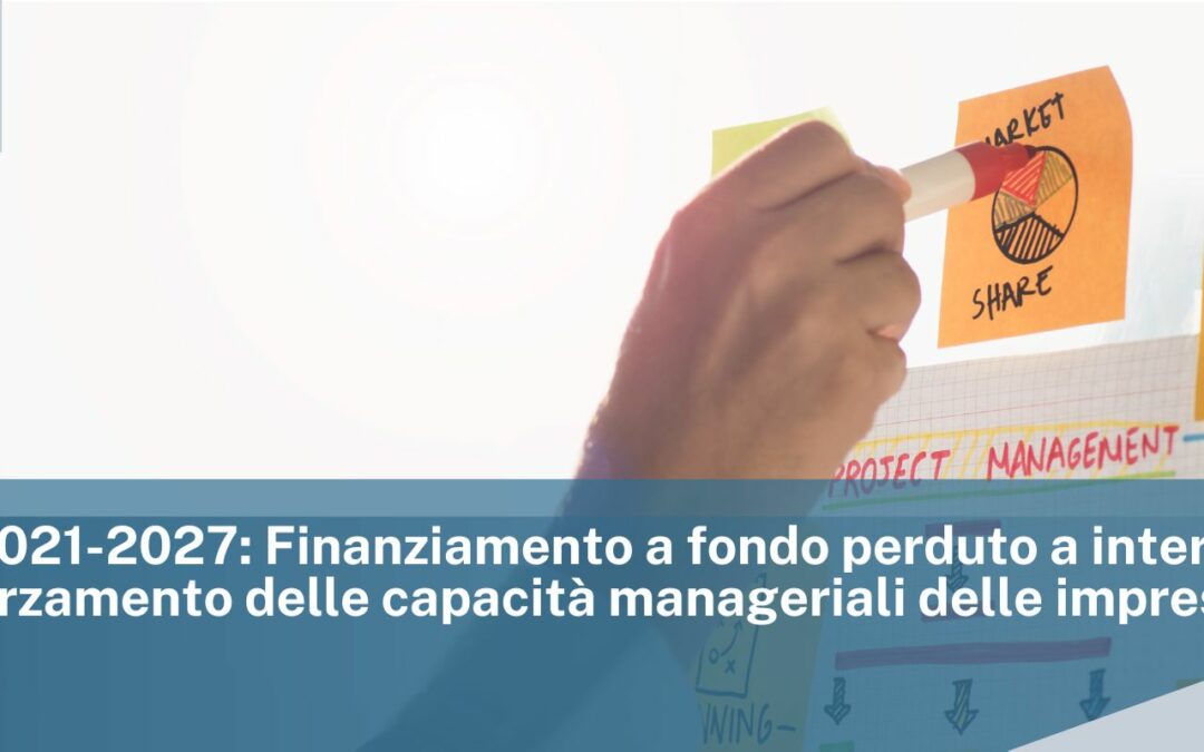 PR FSE+ 2021-2027: Finanziamento a fondo perduto a interventi per il rafforzamento delle capacità manageriali delle imprese