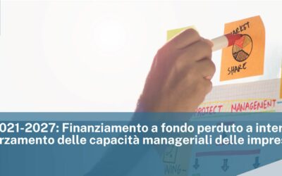 PR FSE+ 2021-2027: Finanziamento a fondo perduto a interventi per il rafforzamento delle capacità manageriali delle imprese
