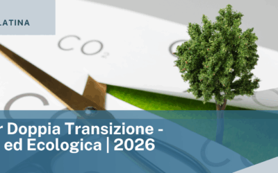 CCIAA Frosinone e Latina: Voucher Doppia Transizione – Digitale ed Ecologica | 2026