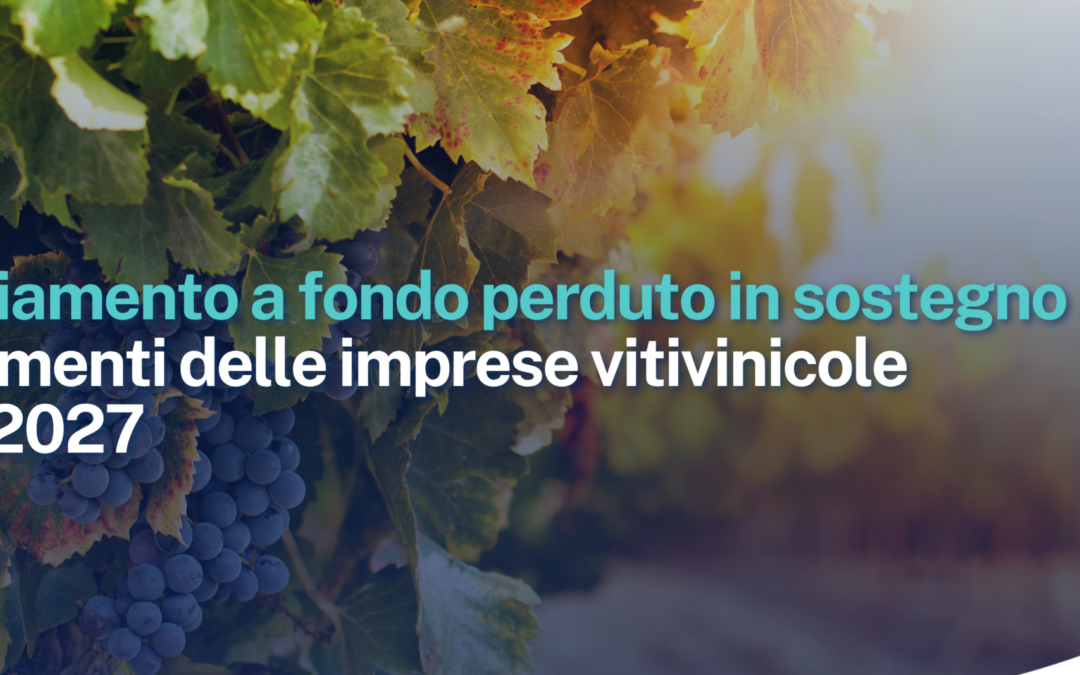 OCM Vino – Misura Investimenti. Finanziamento a fondo perduto in sostegno a investimenti delle imprese vitivinicole. Campagna 2026/2027.