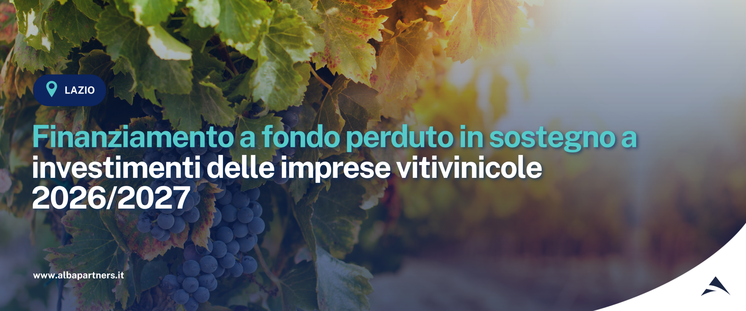 OCM Vino – Misura Investimenti. Finanziamento a fondo perduto in sostegno a investimenti delle imprese vitivinicole. Campagna 2026/2027.