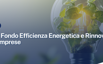 Fondo Efficienza Energetica e Rinnovabili per le Imprese. Finanziamento a fondo perduto e tasso agevolato per sostenere le imprese nella realizzazione di investimenti per l’efficienza energetica e per la produzione di energia da fonti rinnovabili